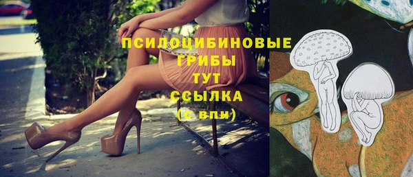 твердый Абаза
