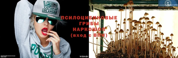 трава Абдулино