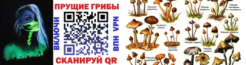 Псилоцибиновые грибы мухоморы  Прохладный 